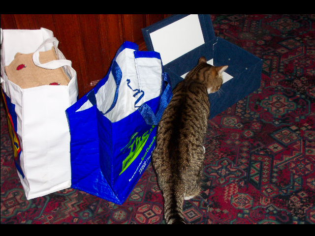 Some kindly person has left Tony some toys.